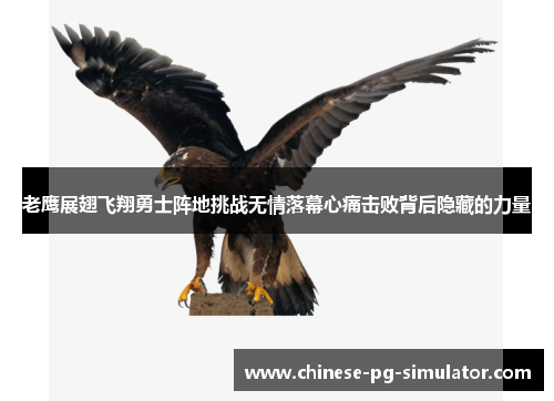 老鹰展翅飞翔勇士阵地挑战无情落幕心痛击败背后隐藏的力量 老鹰展翅飞翔勇士阵地挑战无情落幕心痛击败背后隐藏的力量